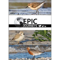 Item #13814 Epic Journeys: Tracking the Migrations of Shorebirds in the Western Hemisphere [DVD]. Shawn Carey, Jim Grady.