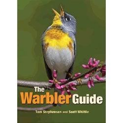 Item #13877 The Warbler Guide. Tom Stephenson, Scott Whittle