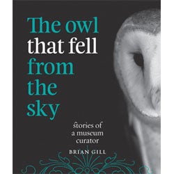Item #13913 The Owl that Fell from the Sky: Stories of a Museum Curator. Brian Gill