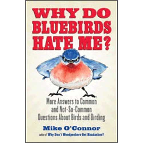 Item #14114 Why Do Bluebirds Hate Me. Mike O'Connor.