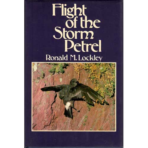 Item #14138 Flight of the Storm Petrel. Ronald M. Lockley.