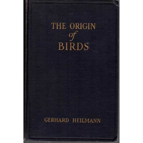 Item #14278 The Origin of Birds. Gerhard Heilmann.