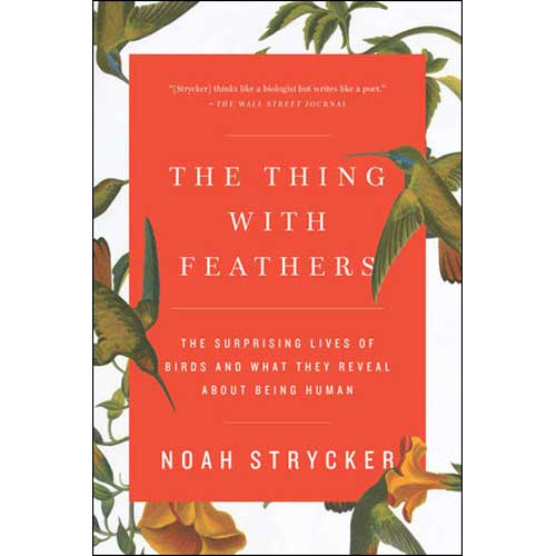 Item #14383P The Thing with Feathers: The Surprising Lives of Birds and What They Reveal About Being Human. Noah Strycker.
