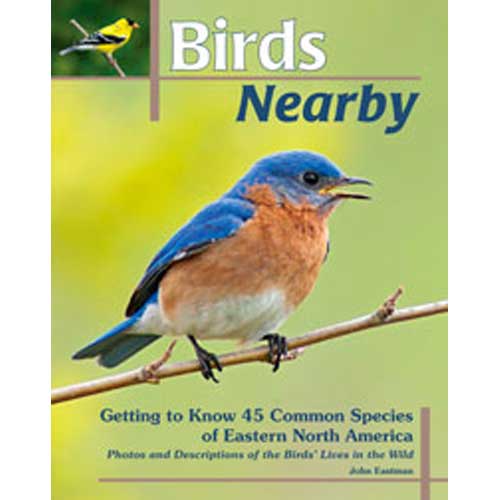 Item #14486 Birds Nearby: Getting to Know 45 Common Species of Eastern North America. John Eastman.