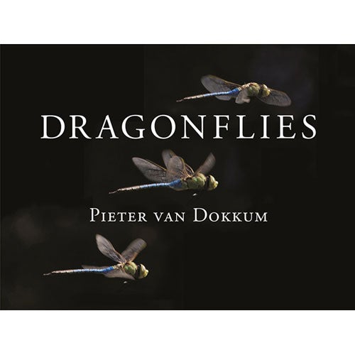 Item #14515 Dragonflies: Magnificent Creatures of Water, Air and Land. Pieter van Dokkum.