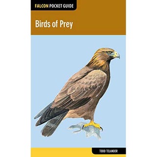 Item #14560 Falcon Pocket Guide: Birds of Prey. Todd Telander