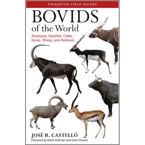 Item #14586 Bovids of the World: Antelopes, Gazelles, Cattle, Goats, Sheep and Relatives. Jose R. Castello.