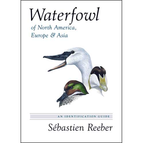 Item #14588 Waterfowl of North America, Europe, and Asia: An Identification Guide. Sabastien Reeber.