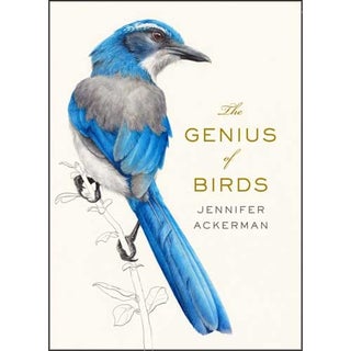 Item #14594 The Genius of Birds [HC]. Jennifer Ackerman