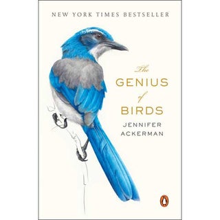 Item #14594P The Genius of Birds [PB]. Jennifer Ackerman
