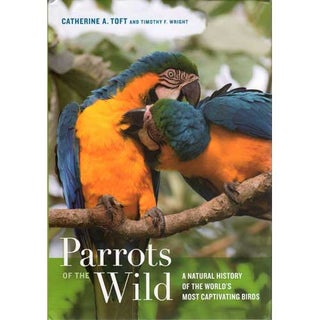 Item #14607 Parrots of the Wild: A Natural History of the World's Most Captivating Birds....