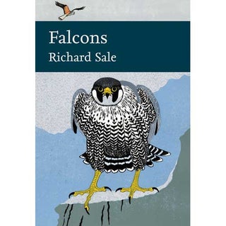 Item #14614P Falcons. New Naturalists Number 132 [PB]. Richard Sale