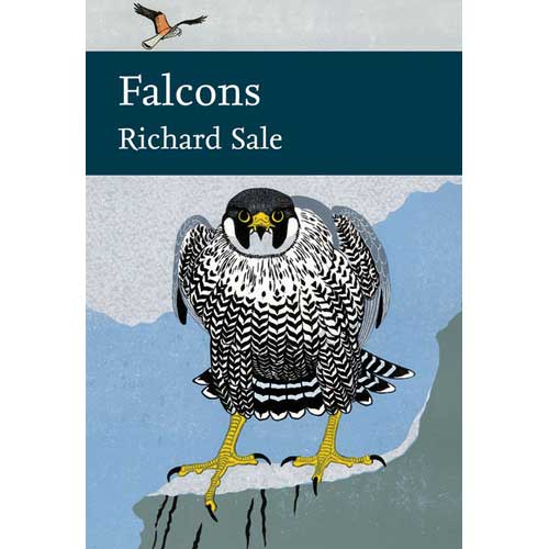 Item #14614P Falcons. New Naturalists Number 132 [PB]. Richard Sale.