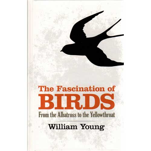 Item #14624 The Fascination of Birds From the Albatross to the Yellowthroat. William Young.