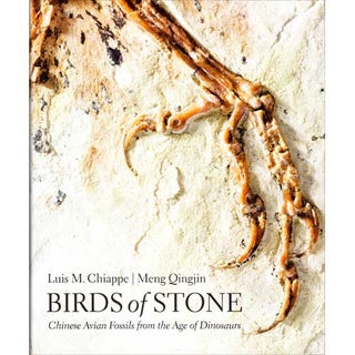 Item #14660 Birds of Stone: Chinese Avian Fossils from the Age of Dinosaurs. Luis M. Chiappe,...