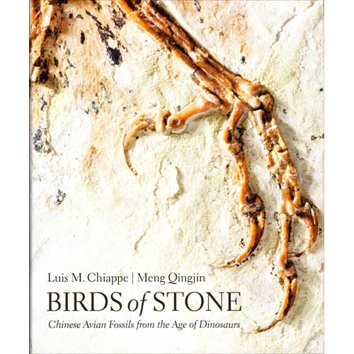 Item #14660 Birds of Stone: Chinese Avian Fossils from the Age of Dinosaurs. Luis M. Chiappe, Meng Qingjin.