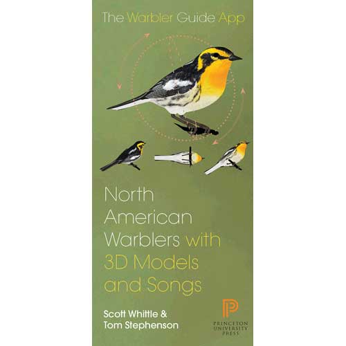Item #14679 North American Warbler Fold-out Guide. Scott Whittle, Tom Stephenson.