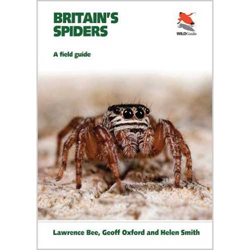Item #14733 Britain's Spiders: A Field Guide. Lawrence Bee, Geoff Oxford, Helen Smith.