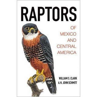 Item #14735 Raptors of Mexico and Central America. William S. Clark, N. John Schmitt