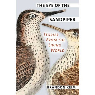 Item #14744 The Eye of the Sandpiper: Stories from the Living World. Brandon Keim