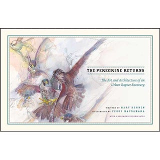 Item #14774 The Peregrine Returns: The Art and Architecture of an Urban Raptor Recovery. Mary...
