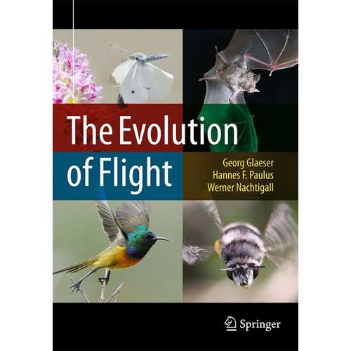 Item #14818 The Evolution of Flight. Georg Glaeser, Hannes F. Paulus, Werner Nachtigall.