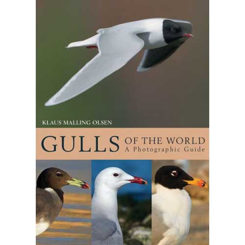 Item #14824 Gulls of the World: A Photographic Guide. Klaus Malling Olsen.