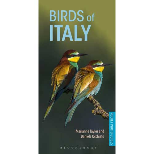 Item #14840 Birds of Italy. Pocket Photo Guide. Marianne Taylor, Daniele Occhiato.