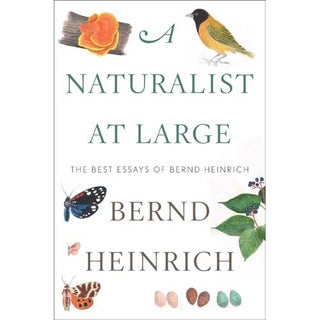 Item #14859 A Naturalist at Large: The Best Essays of Bernd Heinrich. Bernd Heinrich