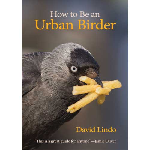 Item #14865 How to Be an Urban Birder. David Lindo.