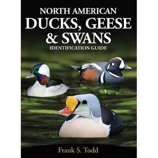 Item #14891 North American Ducks, Geese & Swans: An Identification Guide. Frank S. Todd