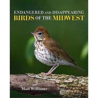 Item #14906 Endangered and Disappearing Birds of the Midwest. Matt Williams