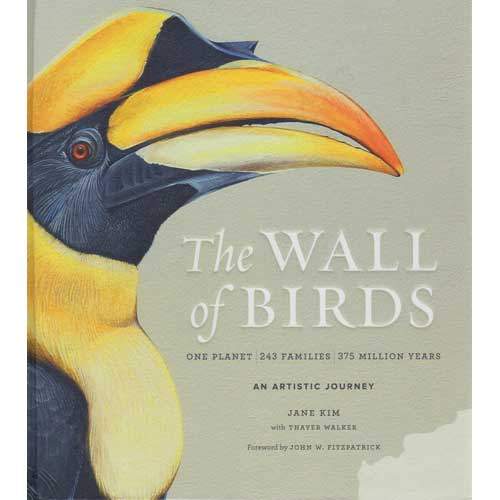 Item #14911U The Wall of Birds: One Planet, 243 Families, 375 Million Years. An Artistic Journey. Jane Kim, Thayer Walker.