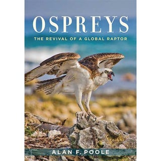 Item #14921 Ospreys: The Revival of a Global Raptor. Alan F. Poole