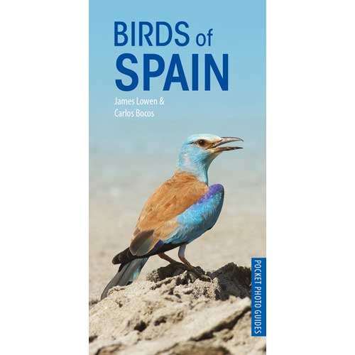 Item #14929 Birds of Spain: Pocket Photo Guide. James Lowen, Carlos Bocos Gonzalez.