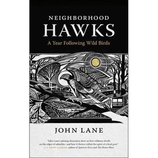 Item #14931 Neighborhood Hawks: A Year Following Wild Birds. John Lane