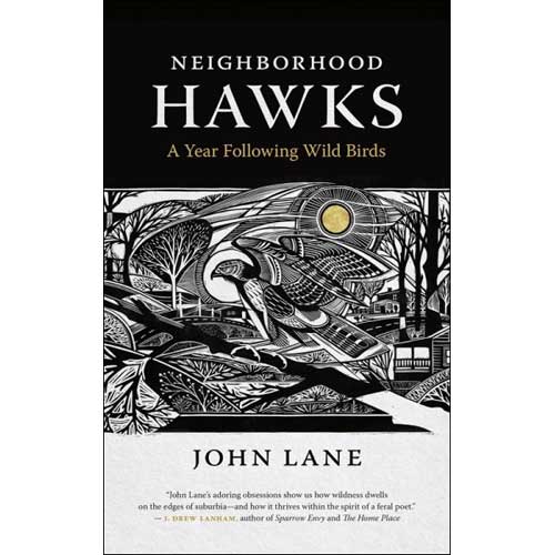 Item #14931 Neighborhood Hawks: A Year Following Wild Birds. John Lane.