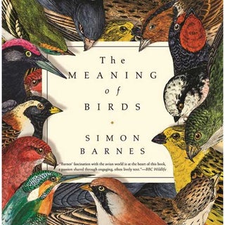 Item #14938 The Meaning of Birds. Simon Barnes