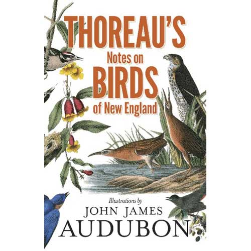 Item #14949 Thoreau's Notes on Birds of New England. Henry David Thoreau, Francis H. Allen.