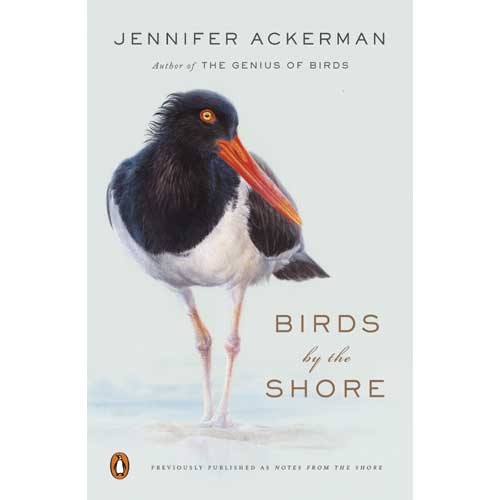 Item #14958 Birds by the Shore: Observing the Natural Life of the Atlantic Coast. Jennifer Ackerman.