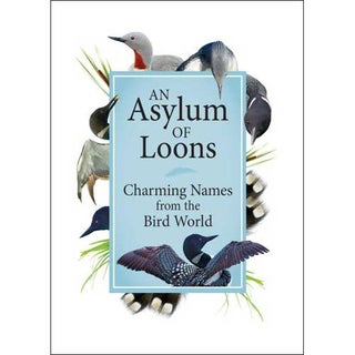 Item #14965 An Asylum of Loons: Charming Names from the Bird World. Claire Suer
