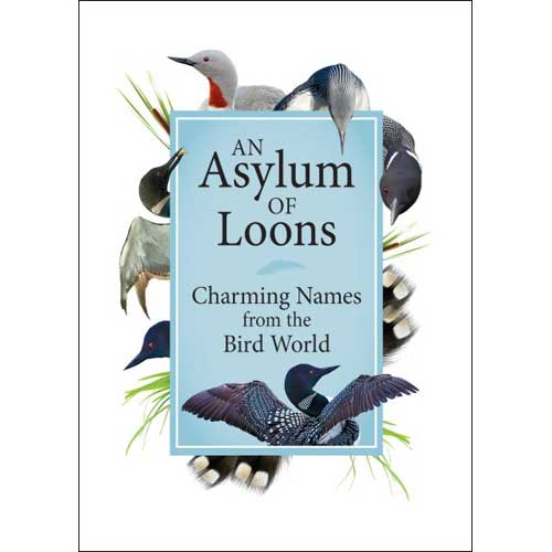 Item #14965 An Asylum of Loons: Charming Names from the Bird World. Claire Suer.