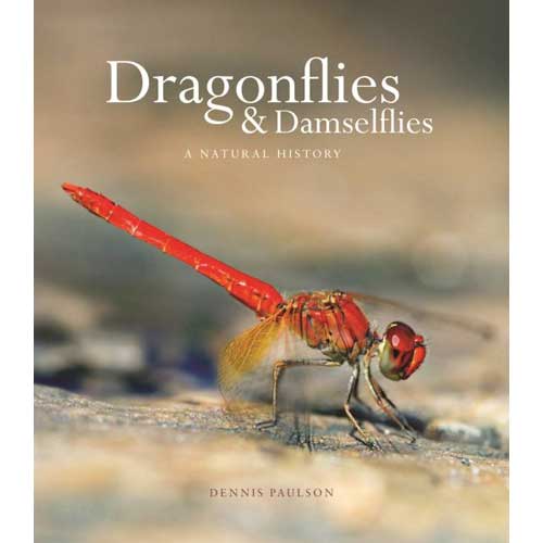 Item #14967 Dragonflies and Damselflies: A Natural History. Dennis Paulson.