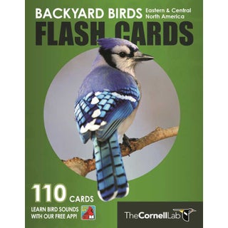 Item #15018 Backyard Birds Flash Cards: Eastern & Central North America. Cornell Lab of Ornithology
