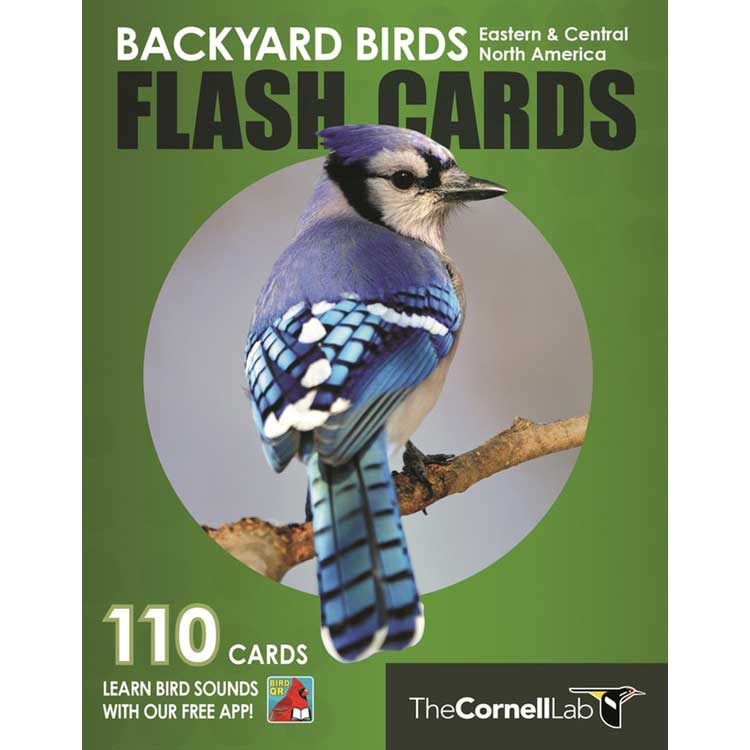 Item #15018 Backyard Birds Flash Cards: Eastern & Central North America. Cornell Lab of Ornithology.