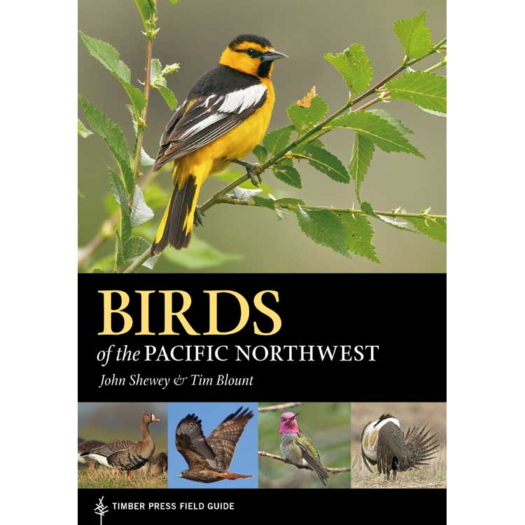 Item #15021 Birds of the Pacific Northwest. John Shewey, Tim Blount.