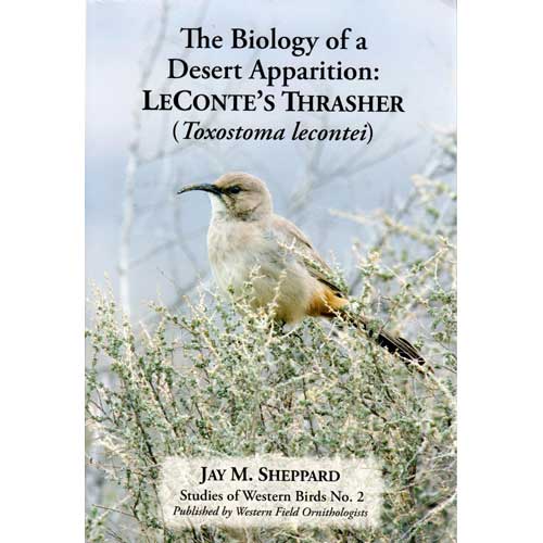 Item #15022 The Biology of a Desert Apparition: Le Conte's Thrasher (Toxostoma lecontei). Jay M. Sheppard.