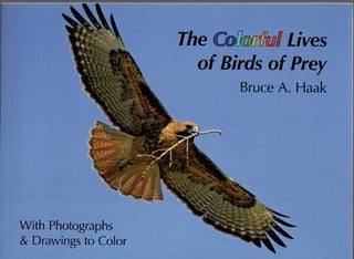 Item #15032 The Colorful Lives of Birds of Prey. Bruce A. Haak