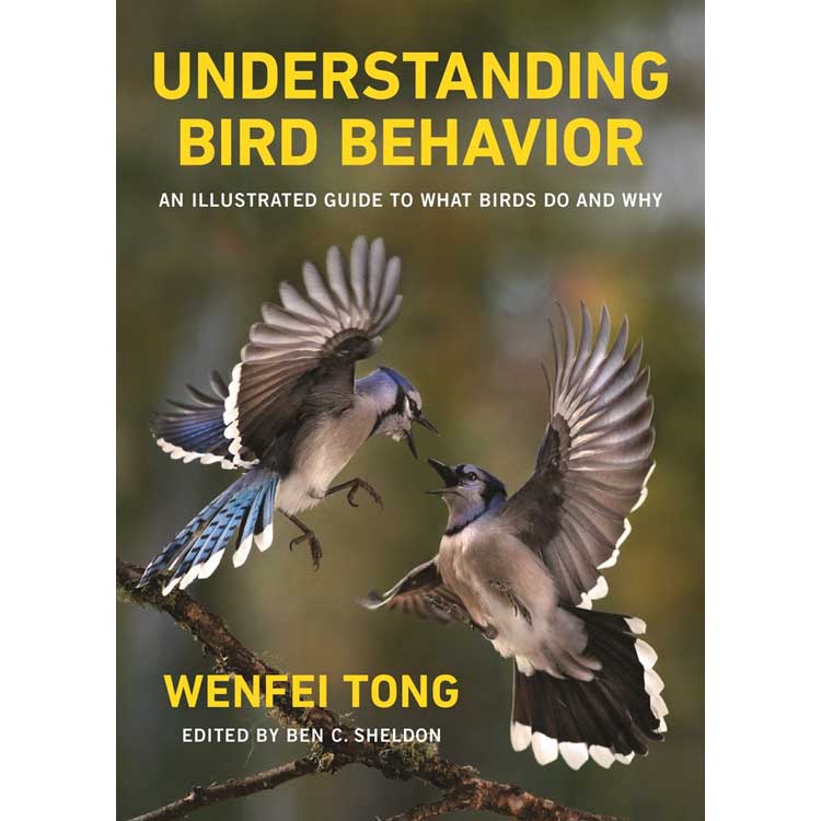 Item #15037 Understanding Bird Behavior: An Illustrated Guide to What Birds Do and Why. Wenfei Tong, Ben C. Sheldon.