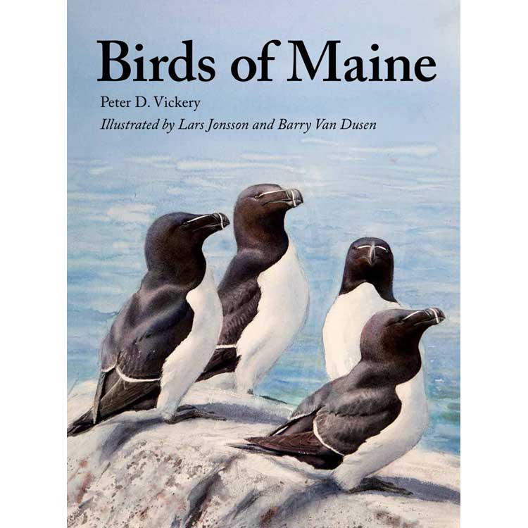 Item #15039 Birds of Maine. Peter D. Vickery, Louise R. Cooke, Jeffrey V. Wells, Charles D. Duncan, Scott Weidensaul, Barry Van Dusen, Lars Jonsson.